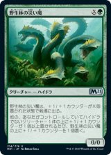 画像: 【日本語版】野生林の災い魔/Wildwood Scourge