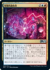 画像: 【日本語版】実験的過負荷/Experimental Overload