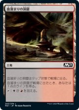 画像: 【日本語版】血溜まりの洞窟/Bloodfell Caves