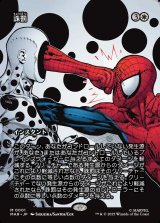 画像: 【ボーダーレス】【日本語版】誅罰/Comeuppance