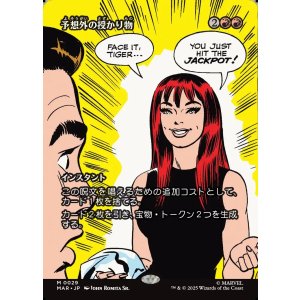 画像: 【ボーダーレス】【日本語版】予想外の授かり物/Unexpected Windfall