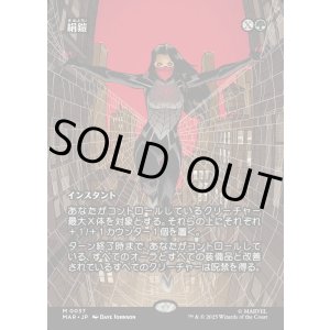 画像: 【Foil】【ボーダーレス】【日本語版】絹鎧/Silkguard