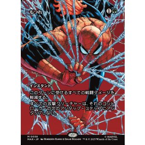 画像: 【ボーダーレス】【日本語版】もつれ/Tangle