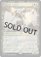 画像: 【Foil】【次元ブースター・ファン】【日本語版】祝福の泉、シガルダ/Sigarda, Font of Blessings