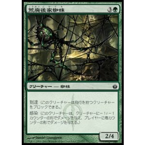 画像: 【日本語版】荒廃後家蜘蛛/Blightwidow