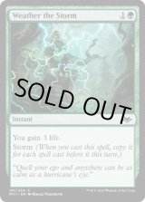 画像: 『英語版』嵐の乗り切り/Weather the Storm