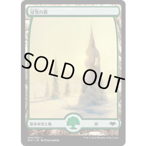 画像: 【日本語版】冠雪の森/Snow-Covered Forest