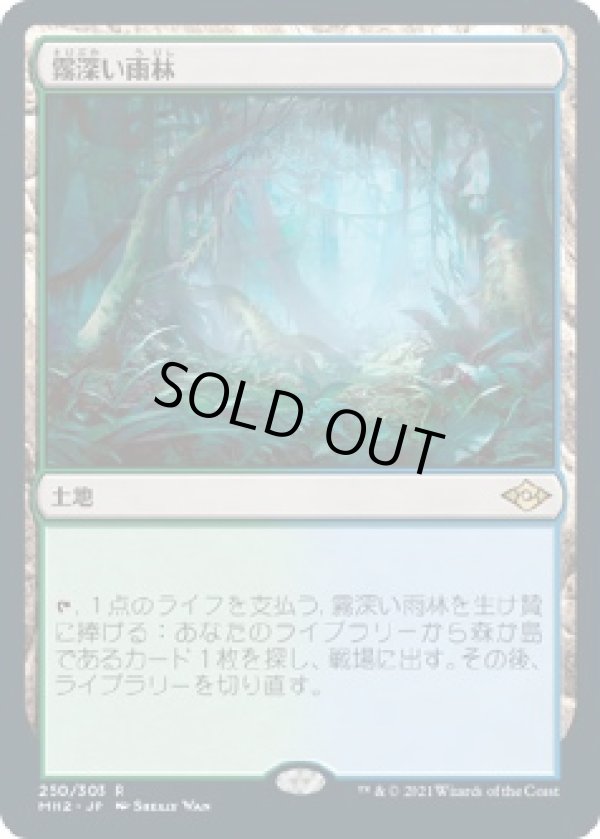 画像1: 【Foil】【日本語版】霧深い雨林/Misty Rainforest (1)