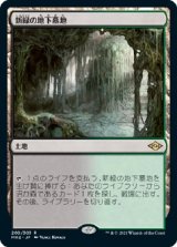 画像: 【日本語版】新緑の地下墓地/Verdant Catacombs