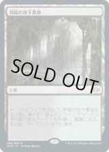 画像: 【日本語版】新緑の地下墓地/Verdant Catacombs