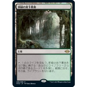 画像: 【日本語版】新緑の地下墓地/Verdant Catacombs
