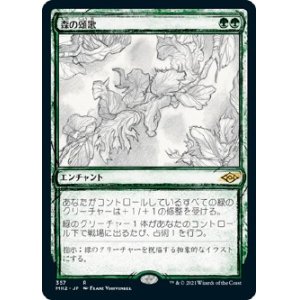 画像: 【スケッチ】【日本語版】森の頌歌/Sylvan Anthem