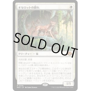 画像: 【Foil】【日本語版】オセロットの群れ/Ocelot Pride