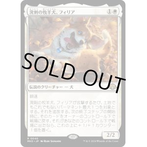 画像: 【Foil】【日本語版】溌剌の牧羊犬、フィリア/Phelia, Exuberant Shepherd