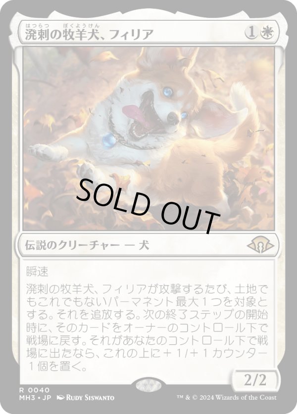 画像1: 【Foil】【日本語版】溌剌の牧羊犬、フィリア/Phelia, Exuberant Shepherd (1)