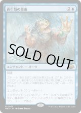 画像: 【Foil】【日本語版】両生類の豪雨/Amphibian Downpour