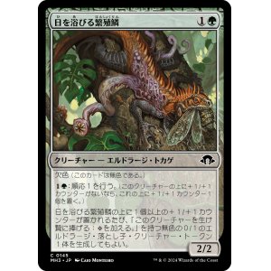 画像: 【日本語版】日を浴びる繁殖鱗/Basking Broodscale