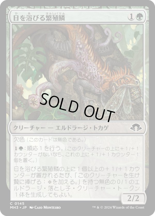 画像1: 【Foil】【日本語版】日を浴びる繁殖鱗/Basking Broodscale (1)
