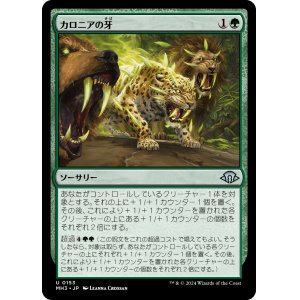 画像: 【日本語版】カロニアの牙/Fangs of Kalonia