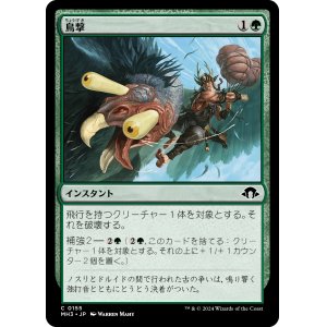 画像: 【日本語版】鳥撃/Fowl Strike