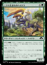 画像: 【日本語版】ニクス生まれのハイドラ/Nyxborn Hydra