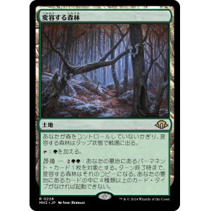 画像: 【日本語版】変容する森林/Shifting Woodland