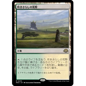 画像: 【日本語版】吹きさらしの荒野/Windswept Heath