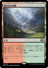 画像: 【Foil】【日本語版】樹木茂る山麓/Wooded Foothills