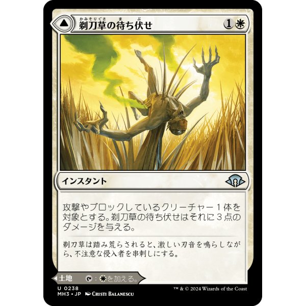 画像1: 【Foil】【日本語版】剃刀草の待ち伏せ/剃刀草の原野/Razorgrass Ambush/Razorgrass Field (1)