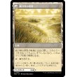 画像2: 【Foil】【日本語版】剃刀草の待ち伏せ/剃刀草の原野/Razorgrass Ambush/Razorgrass Field (2)
