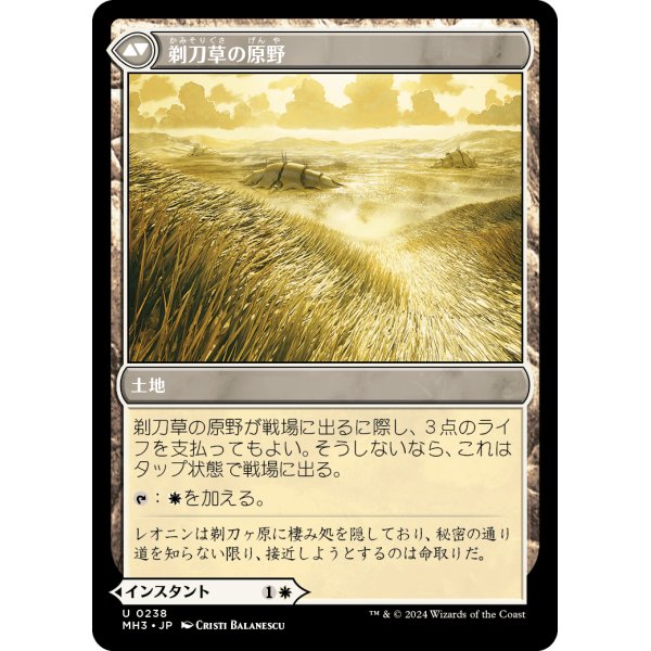 画像2: 【Foil】【日本語版】剃刀草の待ち伏せ/剃刀草の原野/Razorgrass Ambush/Razorgrass Field (2)
