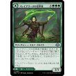 画像1: 【Foil】【日本語版】フレイアリーズの信奉者/フレイアリーズの庭/Disciple of Freyalise/Garden of Freyalise (1)