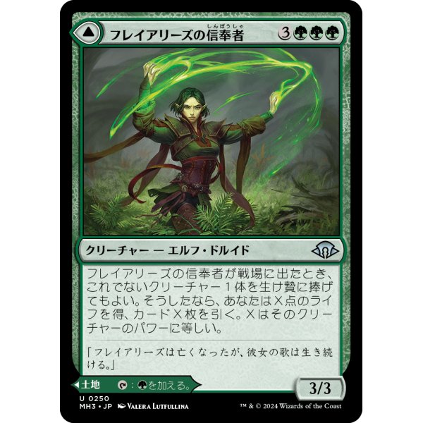 画像1: 【Foil】【日本語版】フレイアリーズの信奉者/フレイアリーズの庭/Disciple of Freyalise/Garden of Freyalise (1)