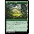 画像2: 【Foil】【日本語版】フレイアリーズの信奉者/フレイアリーズの庭/Disciple of Freyalise/Garden of Freyalise (2)