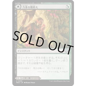 画像: 【Foil】【日本語版】力漲る腹拵え/原生樹林帯/Revitalizing Repast/Old-Growth Grove