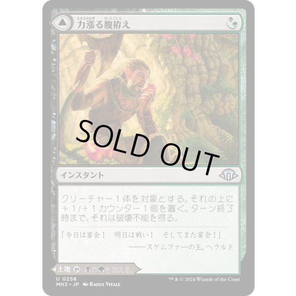 画像1: 【Foil】【日本語版】力漲る腹拵え/原生樹林帯/Revitalizing Repast/Old-Growth Grove (1)