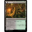 画像2: 【日本語版】力漲る腹拵え/原生樹林帯/Revitalizing Repast/Old-Growth Grove (2)
