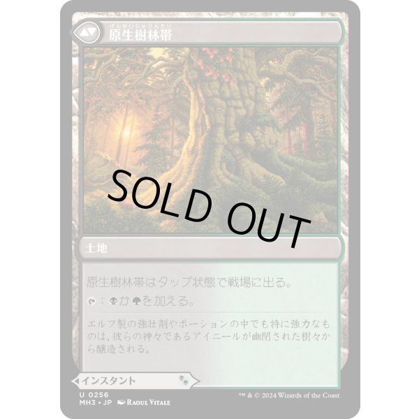 画像2: 【Foil】【日本語版】力漲る腹拵え/原生樹林帯/Revitalizing Repast/Old-Growth Grove (2)