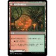 画像2: 【Foil】【日本語版】根絶やし根/燃え柳の開拓地/Stump Stomp/Burnwillow Clearing (2)