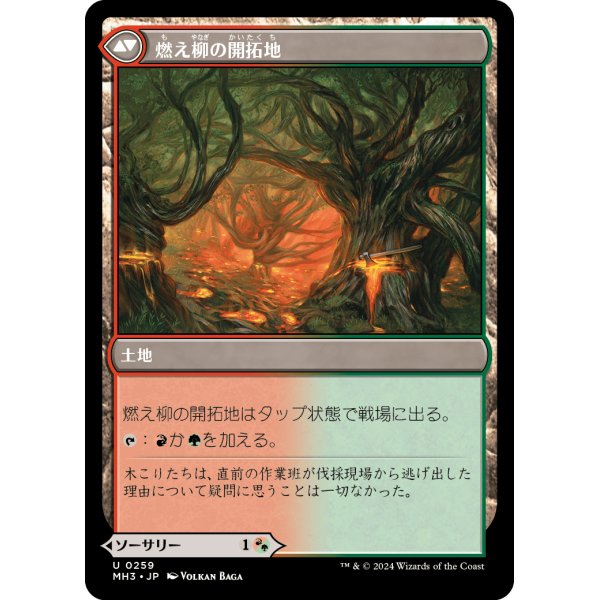 画像2: 【Foil】【日本語版】根絶やし根/燃え柳の開拓地/Stump Stomp/Burnwillow Clearing (2)
