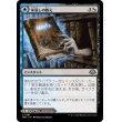 画像1: 【日本語版】水浸しの教え/冠水した書庫/Waterlogged Teachings/Inundated Archive (1)