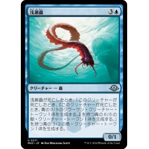 画像: 【日本語版】浅瀬蟲/Reef Worm