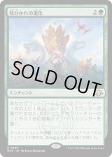 画像: 【Foil】【日本語版】枝分かれの進化/Branching Evolution