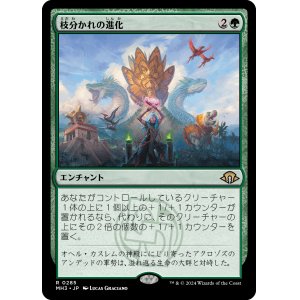 画像: 【日本語版】枝分かれの進化/Branching Evolution