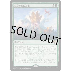 画像: 【Foil】【日本語版】枝分かれの進化/Branching Evolution