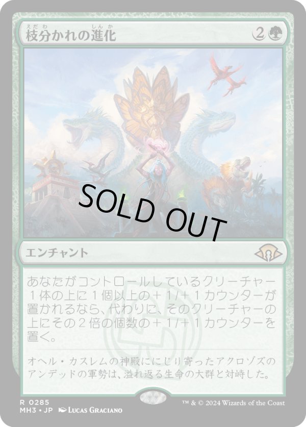 画像1: 【Foil】【日本語版】枝分かれの進化/Branching Evolution (1)