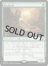 画像: 【日本語版】森を護る者/Sylvan Safekeeper