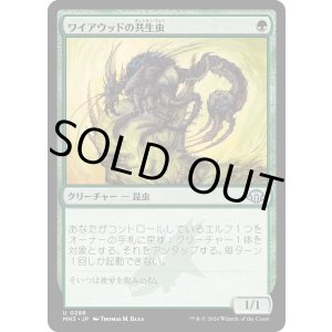 画像: 【Foil】【日本語版】ワイアウッドの共生虫/Wirewood Symbiote