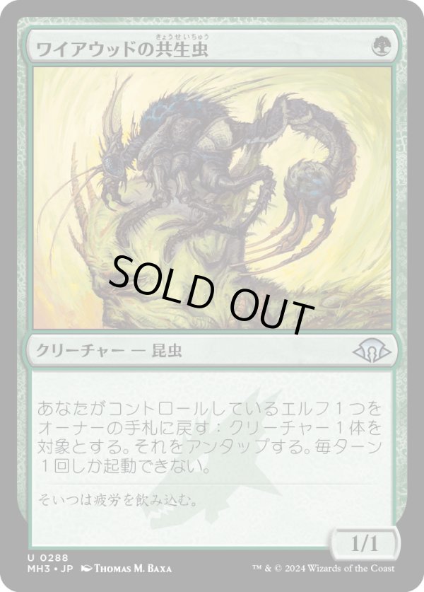 画像1: 【Foil】【日本語版】ワイアウッドの共生虫/Wirewood Symbiote (1)