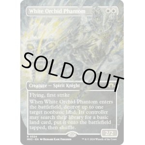 画像: 『ボーダーレス』『英語版』白蘭の幻影/White Orchid Phantom